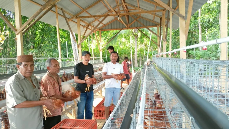 BUMDes Berkah Bersama Resmi Luncurkan Usaha Peternakan Ayam Petelur